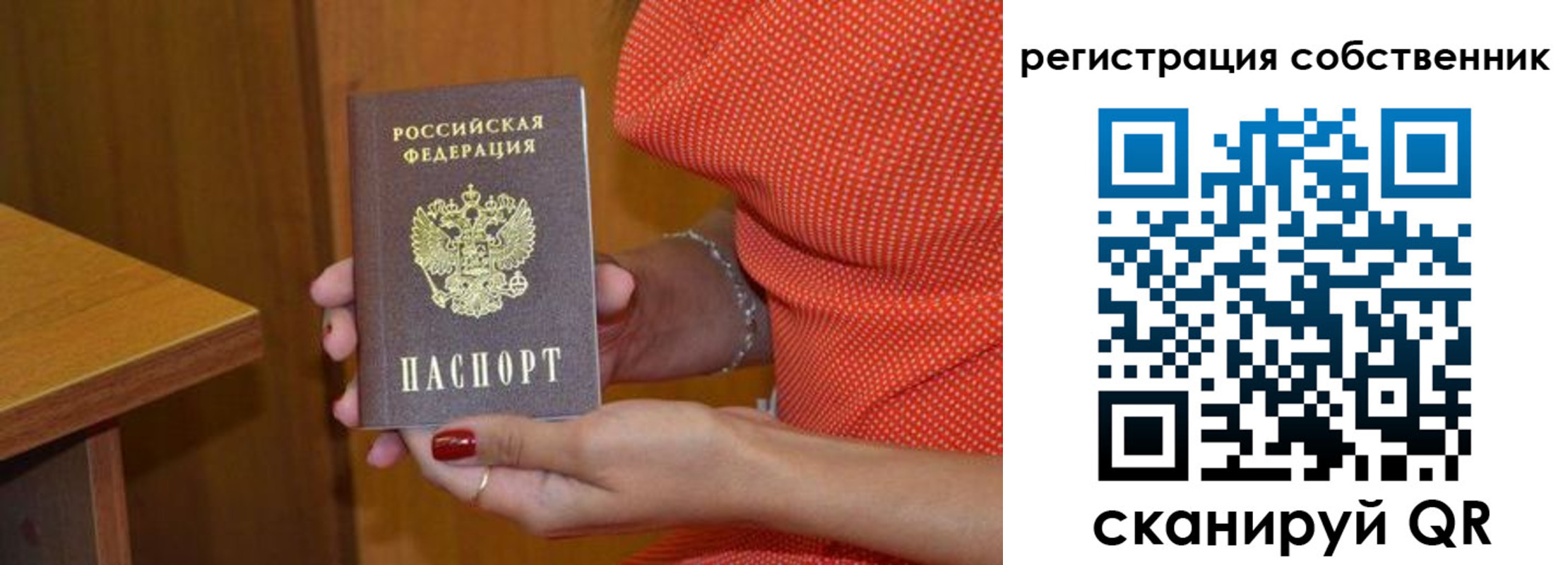 временная регистрация поиск в Ростове-на-Дону